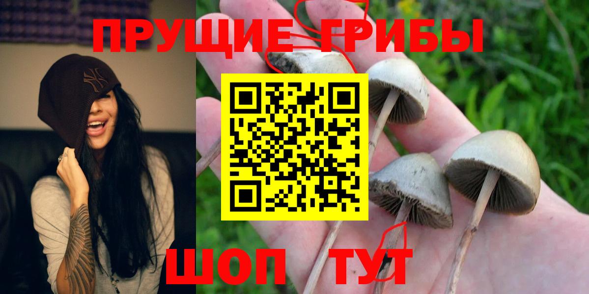 Псилоцибиновые грибы мухоморы Пермь