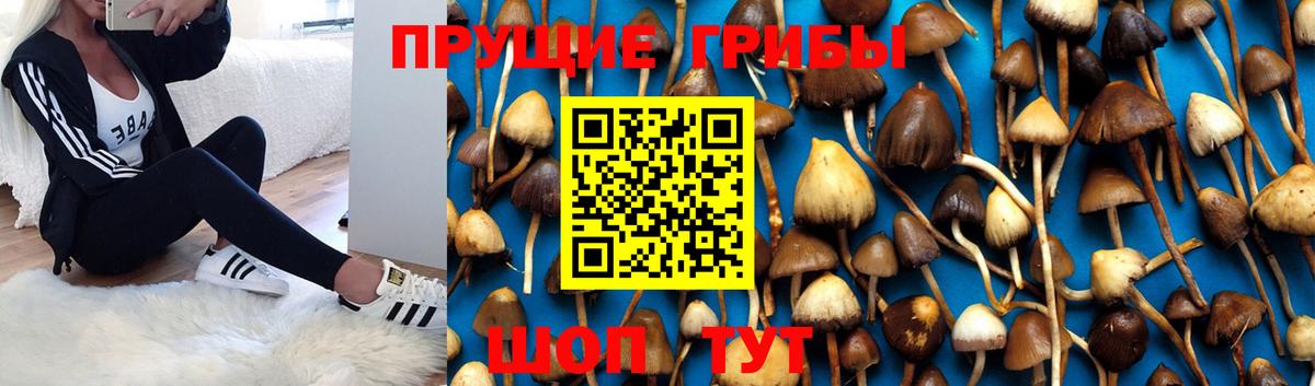 Пермь  Галлюциногенные грибы ЛСД  Псилоцибиновые грибы MAGIC MUSHROOMS  Вход с VPN 
